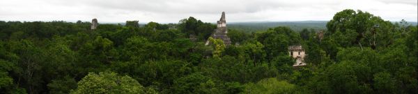 Tikal_5586-5590_T.jpg