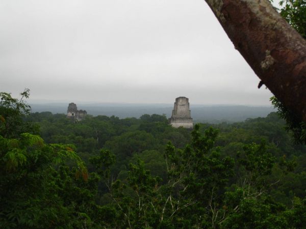 IMG_5547_tikal.JPG