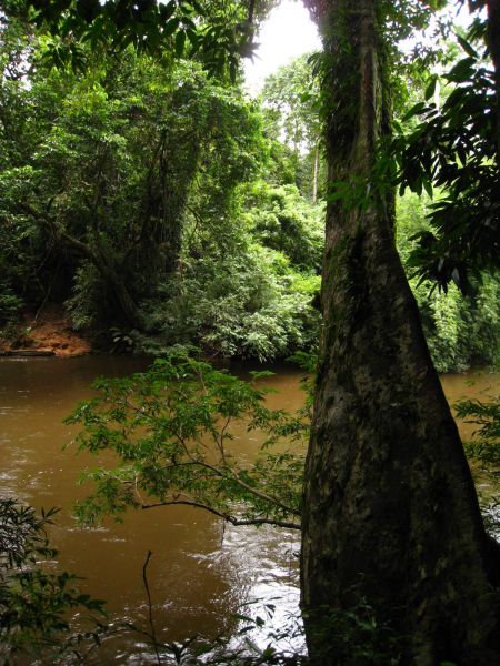 IMG_8544_taman_negara.JPG