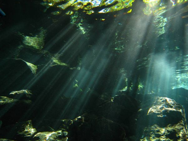 IMG_4767_cenote_dos_ojos.JPG